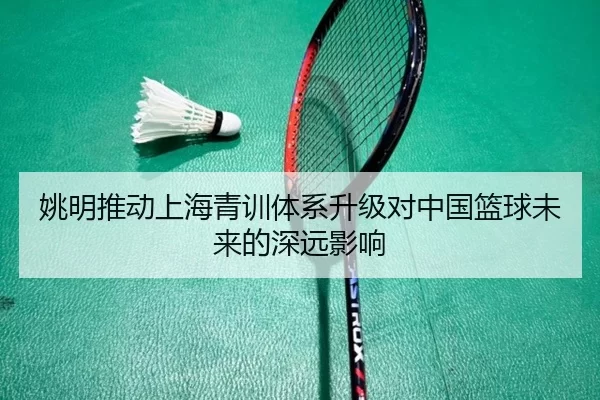 姚明推动上海青训体系升级对中国篮球未来的深远影响